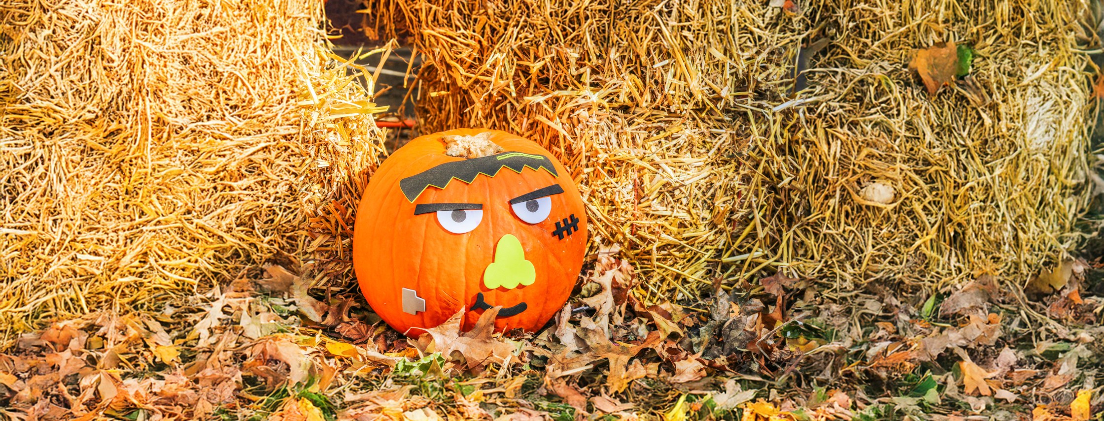 Bklyn Boo! at Albee Square